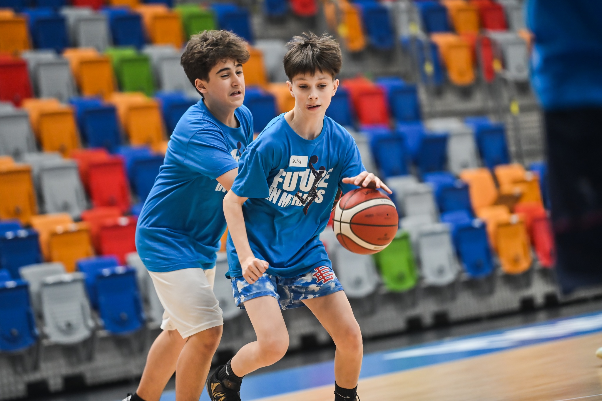 Kemp ČBF pro ročník 2013